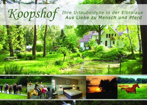 Sternenhimmel Apartment Bleckede Luaran gambar